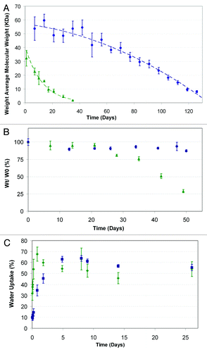 Figure 11. Degradation profile: (A) weight loss profile, (B) and water uptake, (C) green triangle, 50/50 PDLGA; blue circle, 75/25 PDLGA porous structures.Citation133