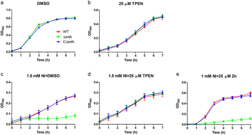 Figure 4. Growth curves of V. parahaemolyticus strains in the presence of 1.5 mM Ni and/or TPEN. The strains were grown in TSB pretreated for 2 h with DMSO (A), 25 μM TPEN (B), DMSO-pretreated TSB supplemented with 1.5 mM NiSO4 (C), TPEN (25 μM)-pretreated TSB supplemented with 1.5 mM NiSO4 (D), or 25 μM ZnSO4 plus with 1 mM NiSO4 (E). Growth curves were drawn by measuring the OD595. The graphs show the means and standard deviations from three wells in a representative experiment.