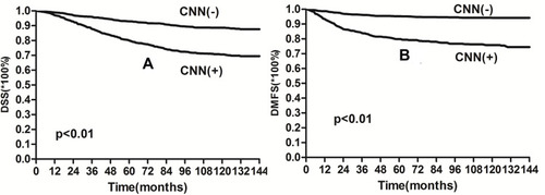 Figure 2 Kaplan–Meier curves showing (A) DSS and (B) DMFS for the CNN and non-CNN groups.