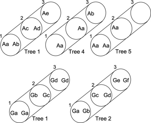 Figure 3  Diagrammatic representation of selected trees showing distribution of vegetative compatibility groups (vcgs) of Armillaria novae-zelandiae (top row) and Ganoderma cf. applanatum (bottom row) within sector blocks (left and right) from sample discs (numbered 1–3 up stem). Letter symbols denote the vcg of one isolate tested per sector. Within each tree, vcgs coded by different letters are incompatible, as indicated by cultural pairing. Spaces indicate sectors in which A. novae-zelandiae was not present or from which axenic cultures were not obtained.