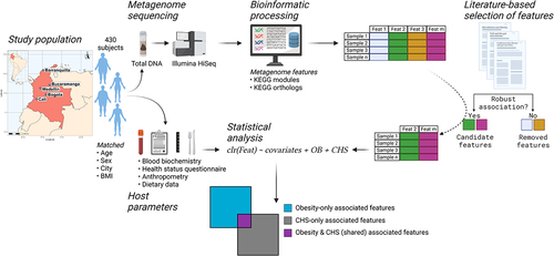 Figure 1. Overview of the Colombian cohort, study design, metagenome profiling, functional feature selection and data analysis. We performed shotgun metagenome sequencing on fecal DNA samples from a previous study in which 459 adults from five Colombian cities were enrolled. Subjects were classified according to their cardiometabolic health status (CHS). The functional profile of the gut microbiome was assessed. We selected a subset of functional features previously reported to be associated with cardiovascular disease, type 2 diabetes or obesity (OB). We then determined which associations were overlapping between CHS and OB, and which were uniquely associated to each condition while accounting for the other. Figure made with BioRender.