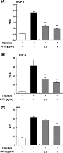Fig. 5. Effects of RF52 on inflammatory changes induced by coculture of 3T3-L1 adipocytes and RAW264 macrophages.Notes: Differentiated 3T3-L1 adipocytes were cocultured with RAW264 macrophages (1 x 105 cells/well) for 24 h. The levels of MCP-1 (A), TNFα (B), and NO (C) in the coculture medium were measured. Data are presented as means ±SEM (n = 4–5). **p < 0.01 vs. nontreated coculture.