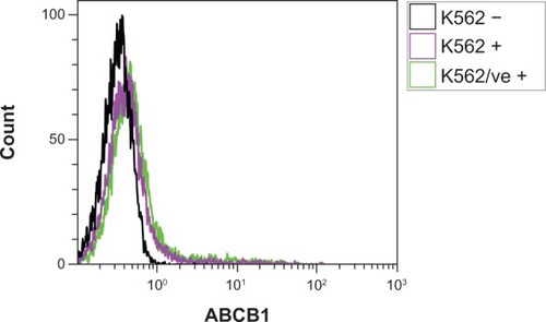 Figure 3 The absence of ABCB1 expression in parental K562 cells. Parental K562 and K562 control cells transduced with an empty vector (K562/ve) were fluorescently labeled with anti-ABCB1 (K562+ and K562/ve +) and analyzed by flow cytometry. Labeled cells had similar fluorescent profiles as unlabeled parental K562 (K562 −), indicating that parental K562 and control cells do not express ABCB1. The figure is a representative result from one of three replicate measurements.
