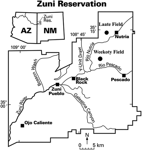 Figure 1. Map of Zuni. Maize experiment fields (Laate Field and Weekoty Field, shown by black circles), located near the traditional farming villages of Nutria and Pescado (black squares). Muenchrath et al. (Citation2017). © (2017) Society of Ethnobiology.