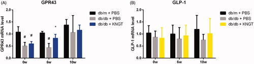 Figure 6. GPR43 mRNA (A) and GLP-1 (B) levels in colon tissues from each mouse group after FMT-KNGT at 0, 6 and 10 weeks. Data were analyzed using one-way ANOVA. #p < 0.05 compared to db/m + PBS mice. *p < 0.05 compared to db/db + PBS mice.