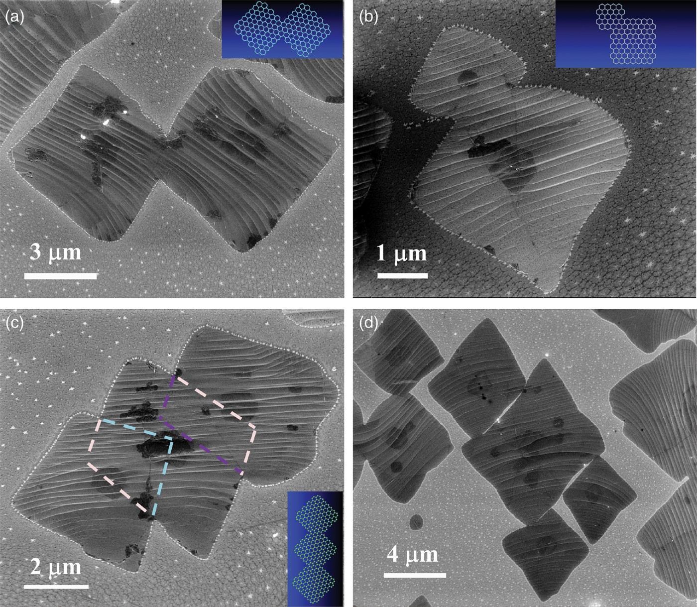 Figure 3. Typical high-magnification SEM images of coalescing square graphene domains: two merging graphene domains with (a) same and (b) different sizes, respectively. (c) Three coalescing graphene domains. (a–c) Insets showing their models, respectively. (d) Multiple graphene domains merging through corners and sides, respectively.