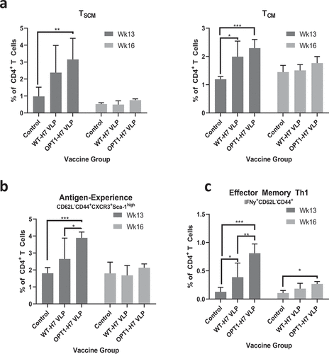 Figure 2. OPT1-VLP vaccination yields enhanced helper T cell responses over vaccination with WT-HA. (a) CD3+/CD4+ splenocytes within TSCM and TCM subpopulations display significantly elevated frequencies one week post-boost with OPT1-VLP, indicating enhanced antigen-driven proliferation in these compartments. Cells within the TEM subpopulation show no significant vaccine-induced expansion (data not shown). (b) However, OPT1-VLP vaccinees exhibit a higher frequency of antigen-experienced TEM cells than those with WT-VLP one week post-boost, while also exhibiting enhanced effector function (IFNγ production) at both one and four week post-boost timepoints (C). *=p < .05, **= p < .01, ***=p < .001.