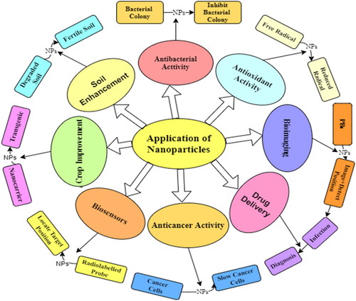 Figure 7. Summary of plant-based nanoparticles possessing different applications.