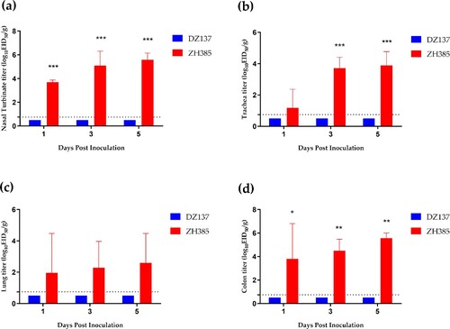 Figure 4. The 10-day-old chickens challenge experiment. Chickens were divided into two groups. Chickens (n = 3) and those inoculated intranasally with 50 μL of indicated H13 AIV at 106.0 EID50. (a) Viral titres in nasal turbinate tissues were detected at 1, 3, and 5 dpi. (b) Viral titres in tracheal tissues were detected at 1, 3, and 5 dpi. (c) Viral titres in lung tissues were detected at 1, 3, and 5 dpi. (d) Viral titres in colon tissues were detected at 1, 3, and 5 dpi. The viral titres are shown as the means log10EID50/g ± SDs. The limit of virus detection was 0.75 log10EID50/g.