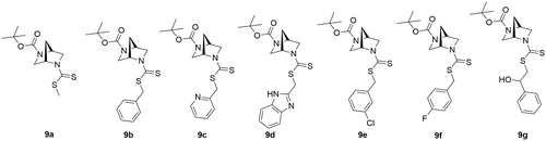 Figure 2. Structures of the synthesized (1S,4S)-N-Boc-2,5-diazabicyclo[2.2.1]heptane-dithiocarbamates.