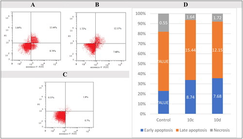 Figure 7. Apoptosis assay in flow cytometry, the effect of 10c (A), compounds 10d (B), control (C), and bar chart presentation of control, compounds 10c and 10d (D) on the percentage of Annexin V-FITC-positive staining in NSC lung cancer HOP-92 cells. The four quadrants were identified as LL: viable; LR: early apoptotic; UR: late apoptotic; UL: necrotic.