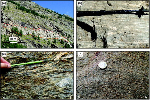 Figure 3. Main rock types in the Gran Paradiso Unit. Letters in white at the bottom of each picture indicate the cardinal points. (a) Valmiana orthogneiss occurs as a ten-metre-long scale layer; (b) Mylonitic orthogneiss showing centimetre-sized porphyroclasts of potassic feldspar. The pervasive foliation (S4) is marked by Qz-Fd lithons and by Bt films; (c) Grt-Cld micaschist showing a well-developed foliation (S4); (d) Grt-paragneiss characterised by mm-scale garnet crystals.