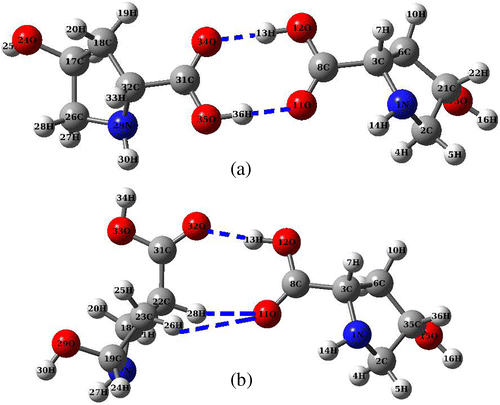 Figure 6. Optimized structures of CHDP dimer at B3LYP/6-31+G(d,p) level.