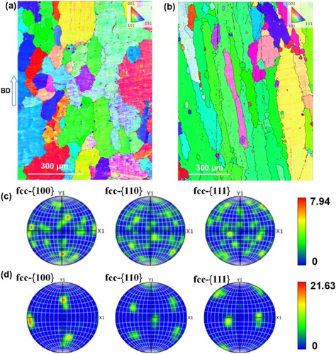 Figure 5. EBSD results for EBPDF samples of parallel BD. (a) IPF at about 2 mm from the bottom. (b) IPF at about 20 mm from the bottom. (c, d) Pole figures corresponding to the images of (a) and (b), respectively.