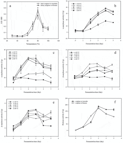 Figure 2. Gelatinization conditions and enzyme activity of Australian and Jinmen sorghum (a) Gelatinization degree of Australian and Jinmen sorghum starch; (b) α-amylase activity of Australian sorghum in response to different koji-making times and temperature (c) α-amylase activity of Kinmen sorghum in response to different koji-making times and temperature (d) β-amylase activity of Australian sorghum in response to different koji-making times and temperature (e) β-amylase activity of Kinmen sorghum in response to different koji-making times and temperature (f) Protease activity of Australian and Kinmen sorghum fermented at 40°C with different koji-making time.