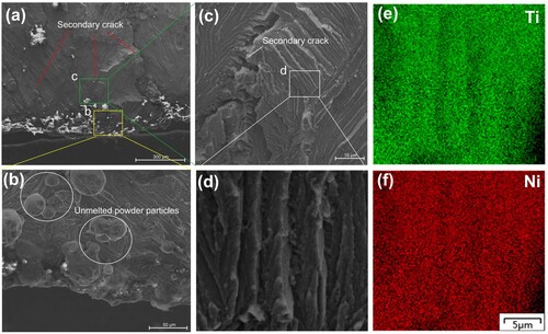 Figure 4. SEM images and EDS results of S7 sample at the crack. (a) SEM image of S7 sample at the crack; (b) morphology of incompletely melted powder particles; (c) SEM morphology of the river patterns crack; (d) SEM morphology of the tear ridge; (e,f) EDS results at the tear ridge.