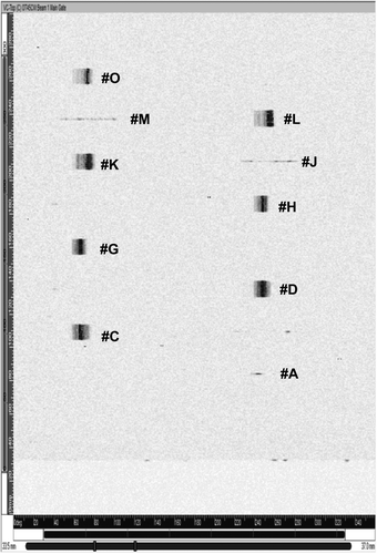 Figure 10. C-Scan signals of flaws detected by using CW transducer.