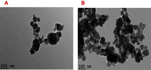 Figure 2 HRTEM morphology of NPs (A) before and (B) after drug loading on NPs.Abbreviations: HRTEM, high-resolution transmission electron microscopy; NPs, nanoparticles.