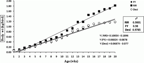 Figure 1.  Weekly body weight changes of Desi, Fayoumi and RIR.