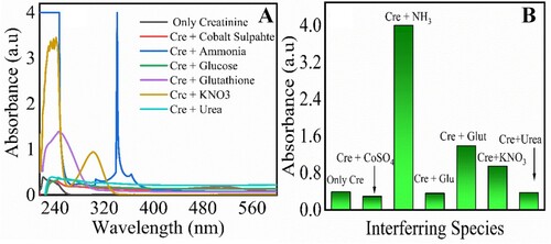 Figure 6. Interference effect for creatinine; UV–visible spectra response (A) and corresponding bar graphs for interfering species (B). Creatinine 30 µM, magnetic chitosan membrane 6 cm × 6 cm, 0.1 M PBS (pH 7.4), the time required 30 min, wavelength range 200–800 nm, interfering species (cobalt sulphate, ammonia, glutathione, glucose, potassium nitrate, urea). Experimetal conditions: creatinine 70 µM, magnetic chitosan membrane 1 cm × 1 cm to 7 cm ×7 cm, 0.1 M PBS (pH 7.4), incubation Time 30 min, wavelength range 200–800 nm. Errors bars are added for N = 3 replicates (SD± 0.05).