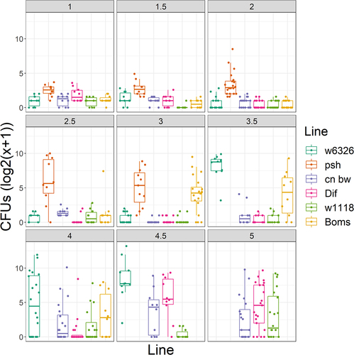 Figure 8. Time course of Ma549 fungal loads in the hemolymph of select immune mutants and their corresponding isogenic WT backgrounds. Results are presented as box plots.