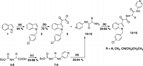Scheme 1 Preparation of analogues of D-24851 with an amino spacer 13-15. (a) i) NaH, DMSO, rt, 1 h ii) 4-chlorobenzyl chloride, DMSO, rt, 6 h (b) ClCOCOCl, Et2O, rt, 1 h (c) DCP, Et3N, CH2Cl2, rt, 2 days (R = H, CH3) or CNMPI, Et3N, CH2Cl2, Δ, 5 h (R = CH(CH3)CH2CH3) (d) H2, Pd/C 5%, MeOH, rt, 1 h (e) Et3N, THF, Δ, 10 h.