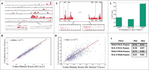 Figure 2. 5-mers density scores consistent between genes and along genes. (A) Illustration of the first validation test: we split the set of genes into two groups, computed for each group all the 5-mers density scores, and checked the 2 group's ranked correlation. (B) The plot of the median correlation (out of 100 repeats) for the case of no zeros-no pauses. (C) Illustration of the second test: we split the set of genes into two groups. We computed all the 5-mers density scores for the first ten 100nt sections in each group of genes, and then checked all the ranked correlation between any two sections from different groups. (D) The plot of the median correlation (out of 100 repeats) for the case of no zeros-no pauses (occurred for section 7 in the first group and section 5 in the second). (E) The frequency of 5-mers with coefficient of variation (CV) that is lower than random. ∼79% have their CV below over 90% of the random model. (F) Sections consistency check: The minimum and maximum Spearman correlation between any two sets of 5-mers learnt from two different groups of genes and from different parts of the genes.