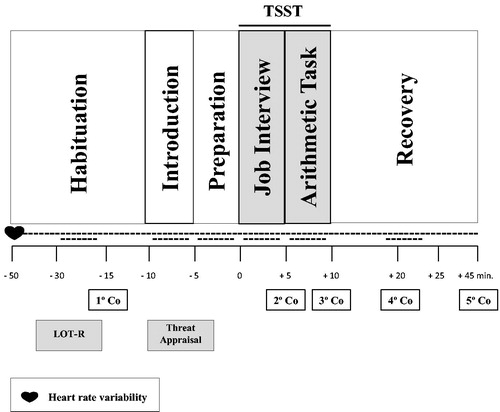 Figure 1. Timeline of the TSST. Dotted lines depict the time of HR register. Salivary cortisol samples = 1, 2, 3, and 4 °Co. Dotted lines represent heart rate variability samples. LOT-R: life orientation test-revised.