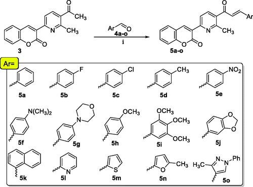 Scheme 2. Reagents and conditions: (i) KOH (aq.), dioxane: MeOH stirring at 0 °C 2 h then r.t overnight.