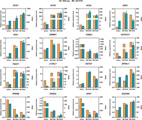 Figure 7. Expression pattern validation of 16 selected DEGs in the RNA-Seq analysis by qRT-PCR in tomato fruits after GSH treatments.