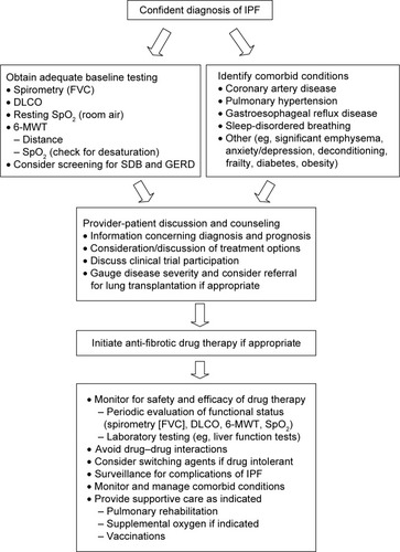 Figure 2 Suggested approach to administering antifibrotic drug therapy.