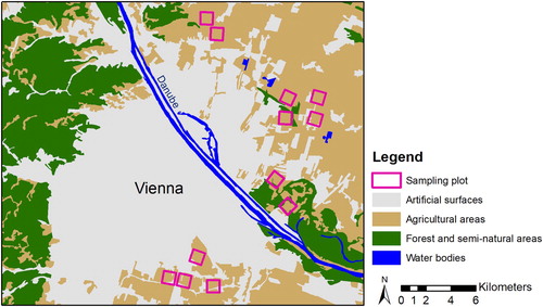 Figure 1. Map of the study area in close vicinity to the city of Vienna (CORINE Citation2012). All 12 sampling plots were located within agricultural areas.