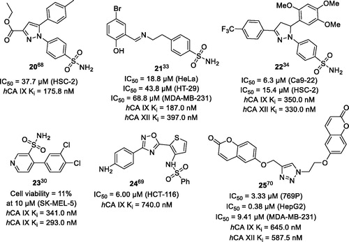 Figure 4. Sulphonamides and coumarins demonstrating potent antiproliferative properties despite being weak inhibitors of the recombinant hCA IX/XII.