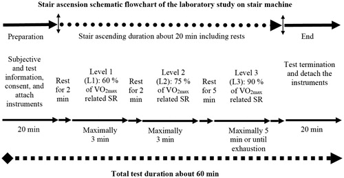 Figure 2. Schematic flowchart and protocol of the stair ascending test.