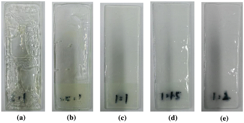 Figure 3. Effect of mass ratio of monomer on appearance of film (a) m(MMA):m(BA)=2:1; (b) m(MMA):m(BA)=1.5:1; (c) m(MMA):m(BA)=1:1; (d) m(MMA):m(BA)=1:1.5; (e) m(MMA):m(BA)=1:2.