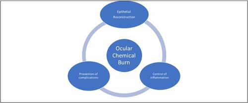 Figure 1 Management strategies of ocular chemical burns have three facets: promotion of epithelialization, reduction of inflammation, and prevention of complications.