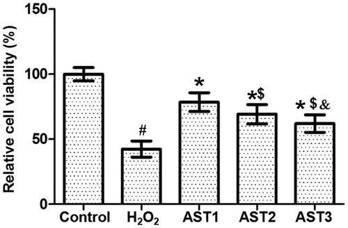 Figure 3. Effect of AST treatment on the viability of ARPE-19 cells treated with H2O2. Note: MTT assay. Optical density was measured at 472 nm, and the relative cell viability of each group was calculated from the optical density value against that of the control group. #, p < 0.05 compared with control; *, p < 0.05 compared with H2O2 model group; $, p < 0.05 compared with AST1 group; &, p < 0.05 compared with AST2 group.