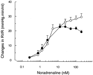 Figure 2. Changes in renal vascular resistance induced by different doses of noradrenaline (NA) in the isolated perfused rat kidneys of sham-operated (◯, n = 7) and BDL (•, n = 5) rats. Graded doses of NA were injected directly in the arterial line maintaining an open system. Renal vascular resistance (RVR) was calculated as renal perfusion pressure factored by renal perfusion flow. Changes in RVR from baseline values were considered as renal vascular responses to this alpha-adrenergic agonist. Data are mean ± SEM.