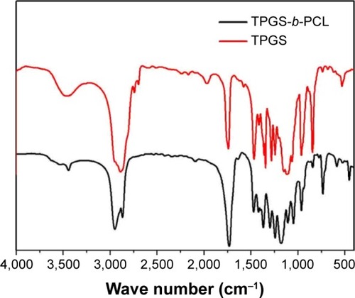 Figure 3 FTIR spectra of TPGS and TPGS-b-PCL copolymer.Abbreviations: FTIR, Fourier transform infrared; PCL, poly(ε-caprolactone); TPGS, d-α-tocopheryl polyethylene glycol 1000 succinate.