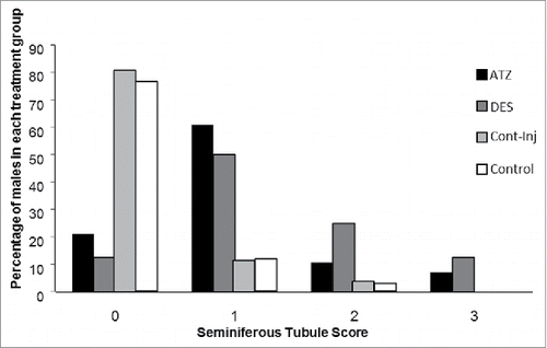 Figure 5. The percentage of male neonatal N. metallicus born to ATZ (n = 28), DES (n = 24) Control-injected (n = 26) and control (n = 33) treated mothers exhibiting seminiferous tubule scores of 0 (normal) 1, (moderately differentiated) 2, (poorly differentiated) and 3 (undifferentiated). Males born to ATZ and DES-treated mothers were statistically more likely to score 1 (moderately differentiated), compared with males born to control-injected or control treated mothers who were more likely to score 0, (well differentiated) on this character.