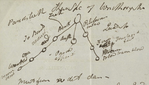 Figure 1. Diagram showing the relationship of the monotremes to other vertebrate taxa, drawn by Robert Jameson on the reverse of the programme for a meeting of the Wernerian Natural History Society dated 17 May 1823 (Source Jameson (note 62), Edinburgh University Library CC-BY).