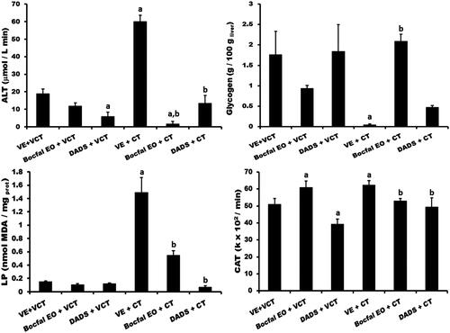 Figure 2. Plasma and liver markers of necrosis, functionality and oxidative stress: alanine aminotransferase enzyme activity (ALT) determined in the plasma, hepatic levels of lipid peroxidation (LP) and glycogen, and catalase activity (CAT) quantified in the livers of control rats treated with their respective vehicles (VE + VTC), with Bocfal EO (Bocfal EO + VCT) or with DADS (DADS + VCT) as well as those administered the hepatotoxicant CT (VE + CT) but treated with the same compound, respectively (Bocfal EO + CT and DADS + CT). Each bar represents the mean value of experiments performed in duplicate with samples from at least four animals ± SEM. (a) Difference from the VE + VCT group and (b) from the VE + CT group, p < 0.05, Student–Newman–Keuls test.