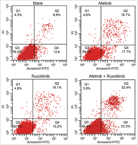 Figure 5. The apoptosis rates of human ovarian cancer cells in the blank, afatinib, ruxolitinib and afatinib + ruxolitinib groups were detected by flow cytometry with AnnexinV-FITC/PtdIns double staining.