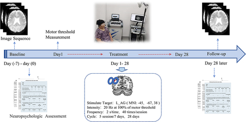 Figure 1 Description of the clinical trial outline in repetitive transcranial magnetic stimulation (rTMS) intervention of AD spectrum patients. All enrolled patients received MRI scans and neuropsychological and sleep assessments at baseline and after 20 sessions of rTMS treatment. The parameters of rTMS treatment are presented as shown.