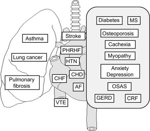 Figure 1 The most common and clinically important comorbidities in patients with COPD.
