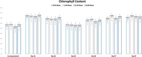 Figure 3. The effects of vermicompost applications applied from the soil on the amount of chlorophyll according to the days.