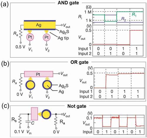 Figure 10. Basic logic gates fabricated by atomic switches and their operation. (a) AND gate. (b) OR gate. (c) NOT gate. Reproduced with permission [Citation2]. Copyright 2005, Springer Nature.