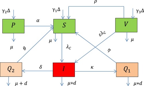 Figure 1. The flow diagram of the COVID-19 transmission with intervention strategies where λC(t) is given in Equation (1).