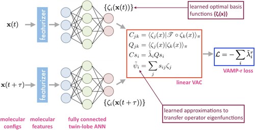 Figure 7. State-free reversible VAMPnets. Pairs of time-lagged molecular configurations {x(t),x(t+τ)} are featurized and transformed by a twin-lobe ANN into a space of nonlinear basis functions {ζ(x(t)),ζ(x(t+τ))}. These basis functions are employed within a linear VAC to furnish approximations ψ~ to the leading eigenfunctions of the transfer operator. The twin-lobed ANN is trained to maximise a VAMP-r score measuring the cumulative kinetic variance explained and which reaches a maximum when the eigenfunction approximations are coincident with the true eigenfunctions of the transfer operator.