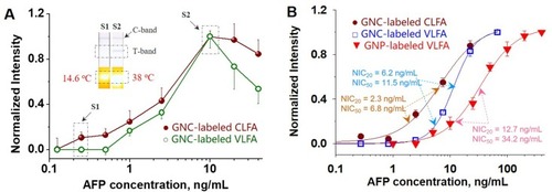 Figure 3 VLFA for AFP detection. (A) Comparison of GNC-labeled CLFA or VLFA strips of AFP detection. (B) The AFP detection of GNC-labeled CLFA with GNC-labeled VLFA or GNP-labeled VLFA.Abbreviations: AFP, alpha-fetoprotein; GNC, gold nanocage; GNP, gold nanoparticle, CLFA, calorimetric lateral flow assays; VLFA, visual lateral flow assays.